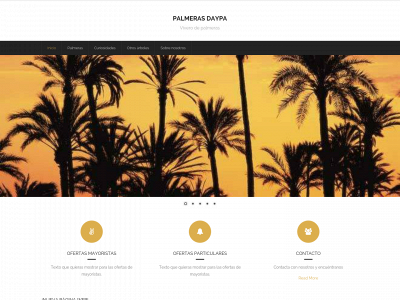 palmerasdaypa.com snapshot