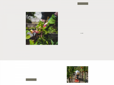 beautiful-plants.de snapshot