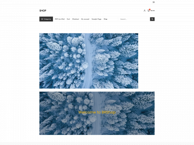 brstore.shop snapshot