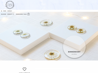 daintyjewelsdesigns.nl snapshot