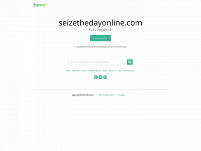 seizethedayonline.com snapshot