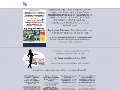 juyseguros.com snapshot