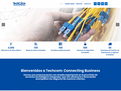 techcom.com.py snapshot