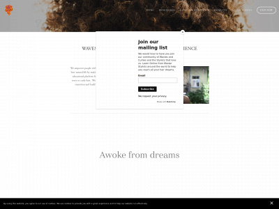 curlysister.com snapshot