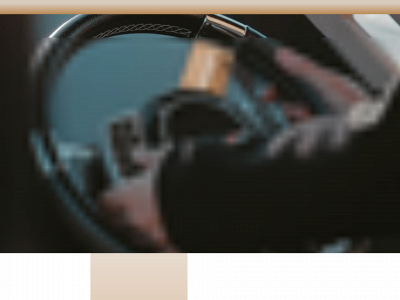 leilafalkenberg.com snapshot