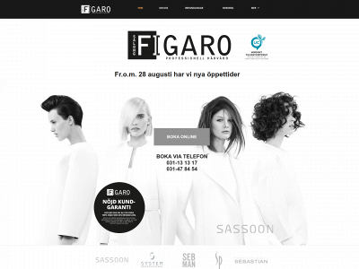 salongfigaro.net snapshot