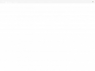 sintec.com snapshot
