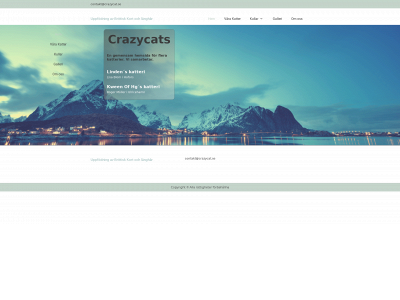 crazycats.se snapshot