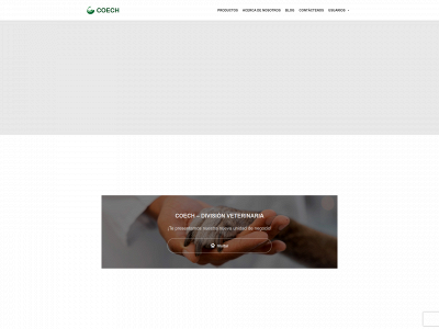coech.com.ar snapshot