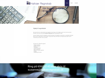 halkierregnskab.dk snapshot