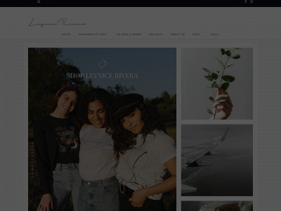 leynicerivera.com snapshot