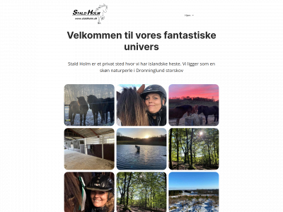 staldholm.dk snapshot