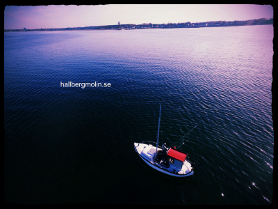hallbergmolin.se snapshot