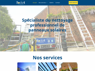 bodartcleaningets.be snapshot