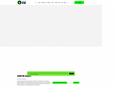 stmi.io snapshot