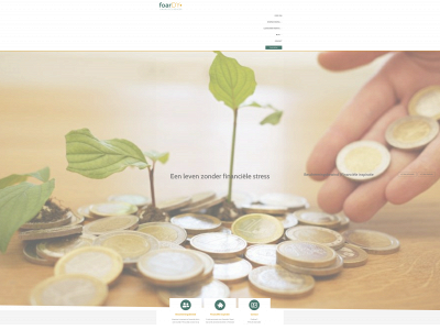foardyfinancieelbeheer.nl snapshot