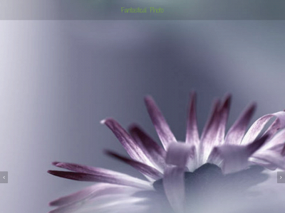 fantasticalphoto.com snapshot
