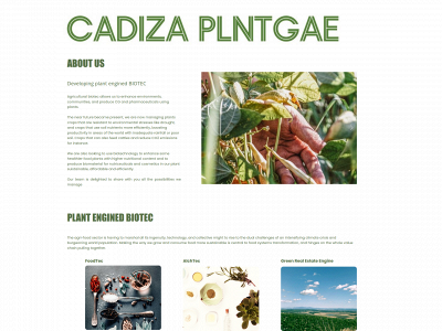 cadiza.one snapshot