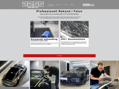 2255cardetail.se snapshot
