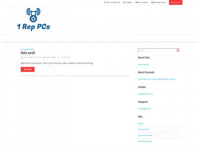 1reppcs.com snapshot