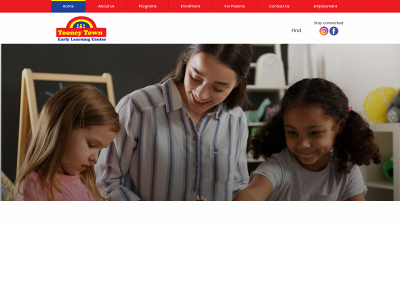 www.tooneytown.org snapshot