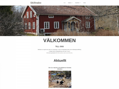 skillnabo.se snapshot