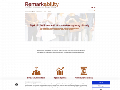 remark-ability.com snapshot