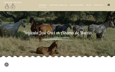 yeguadajosecruzcano.com snapshot