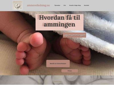 ammeveiledning.no snapshot