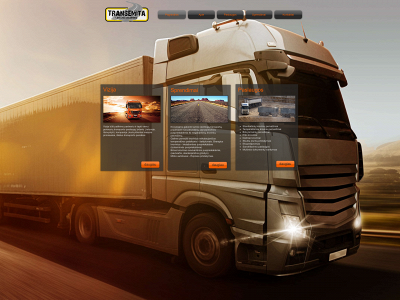 transemita.lt snapshot