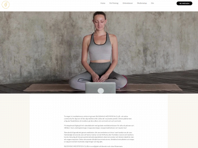 bloomingmeditation.com snapshot