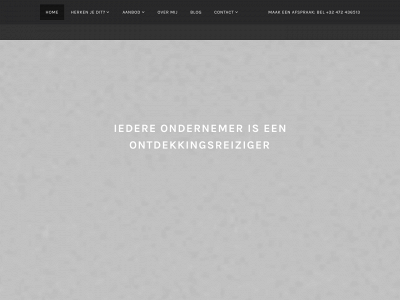 demarketingmentor.com snapshot