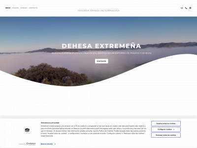 www.torroloca.es snapshot