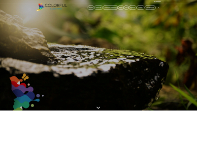 colorful-coaching.nl snapshot