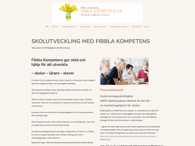 fibblakompetens.se snapshot