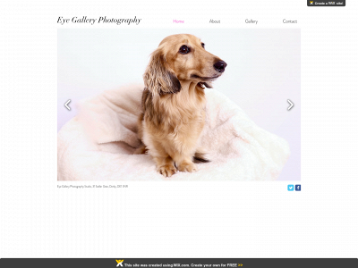 eyegalleryphotography.co.uk snapshot