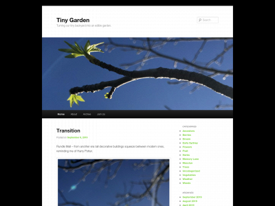 arwenmunro.com snapshot