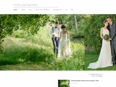 matsalthin.se snapshot