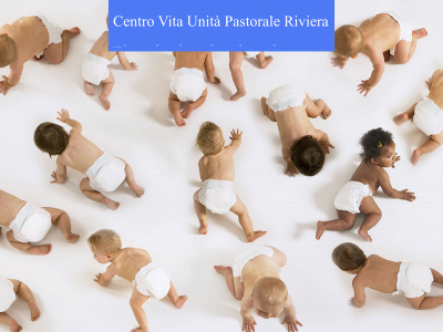 centrovitaupriviera.org snapshot