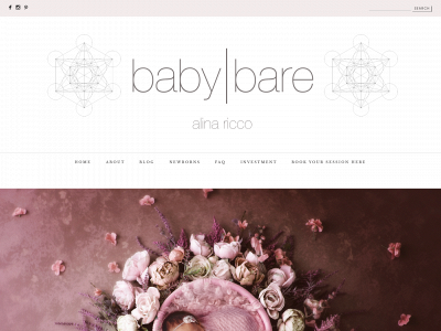 babybarelongislandphotography.com snapshot
