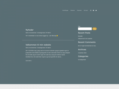 bettinafellov-art.dk snapshot