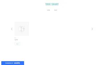truesmart.weebly.com snapshot