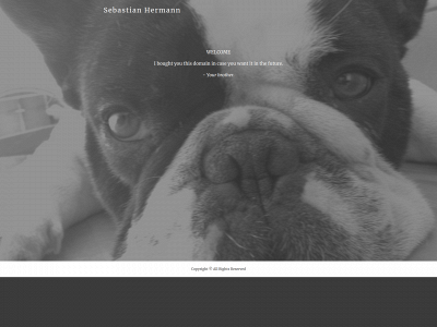 sebastianhermann.dk snapshot