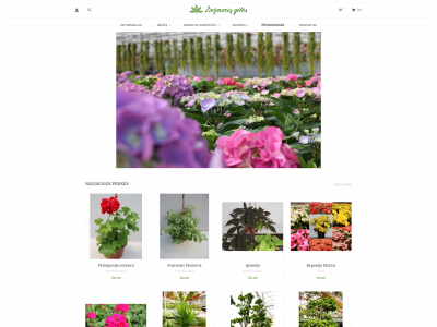ziezmariugeles.lt snapshot