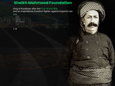 sheikhmahmoodfoundation.com snapshot