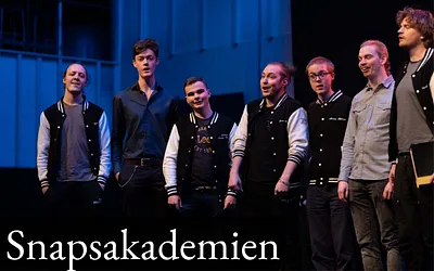 snapsakademien.se snapshot