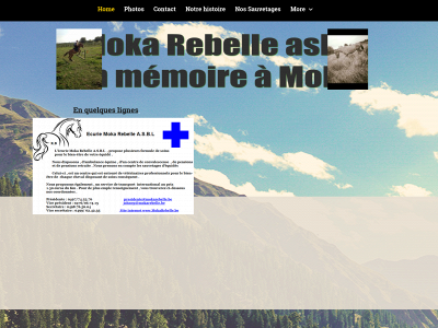 mokarebelle.be snapshot