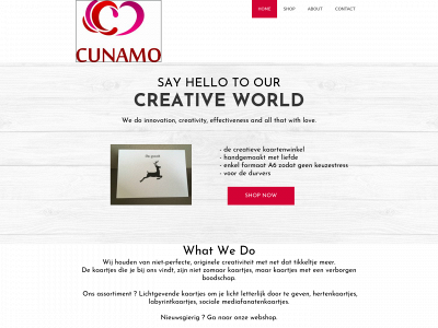 cunamo.be snapshot