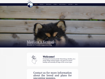 magiicas.com snapshot