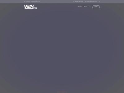 vrinetics.com snapshot